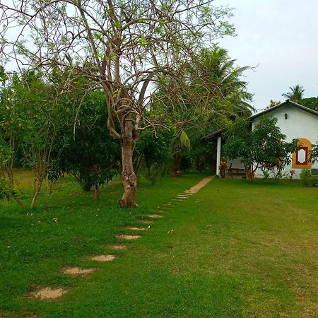 Hideaway Homestay Habarana Eksteriør billede