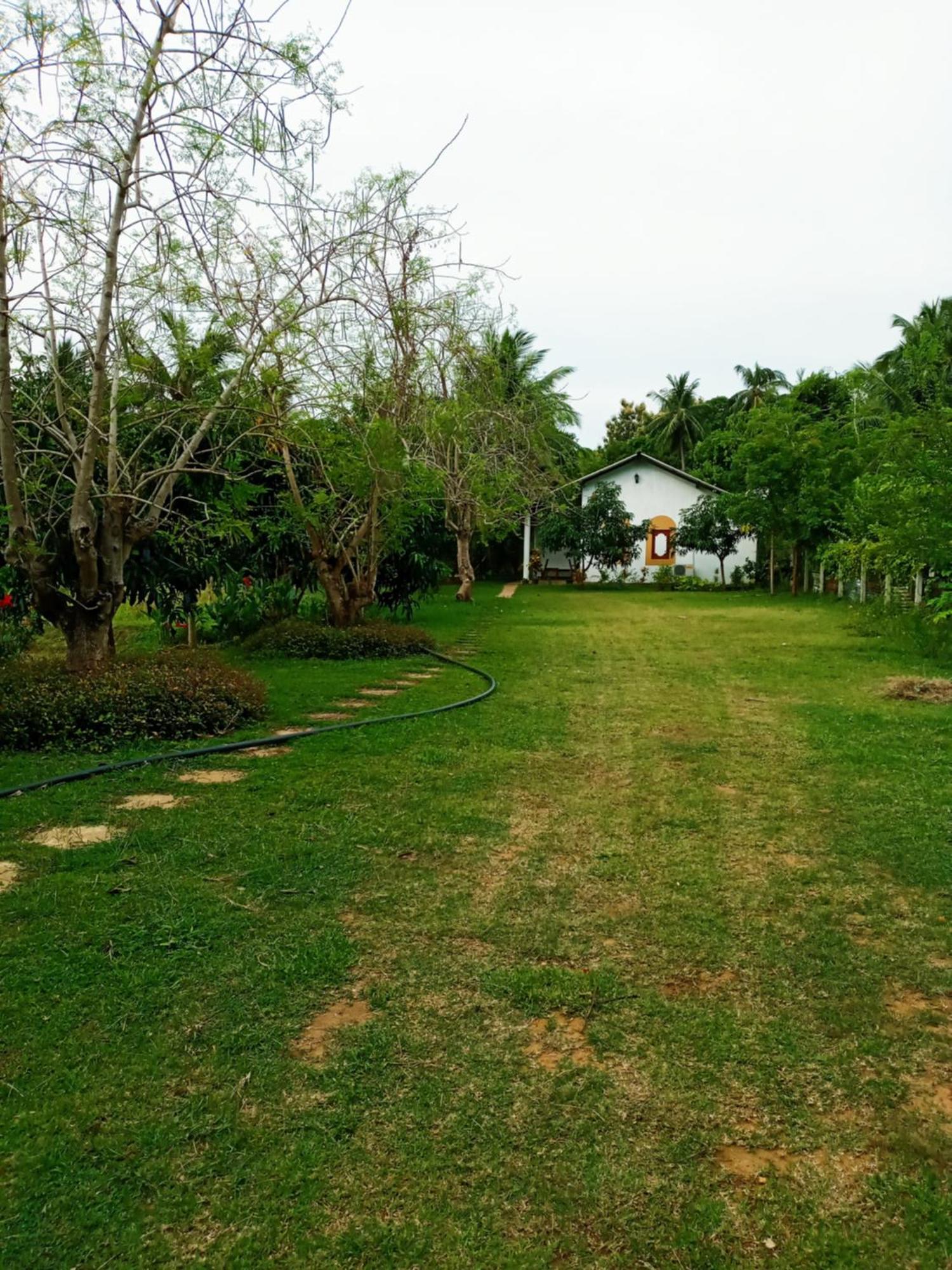 Hideaway Homestay Habarana Eksteriør billede