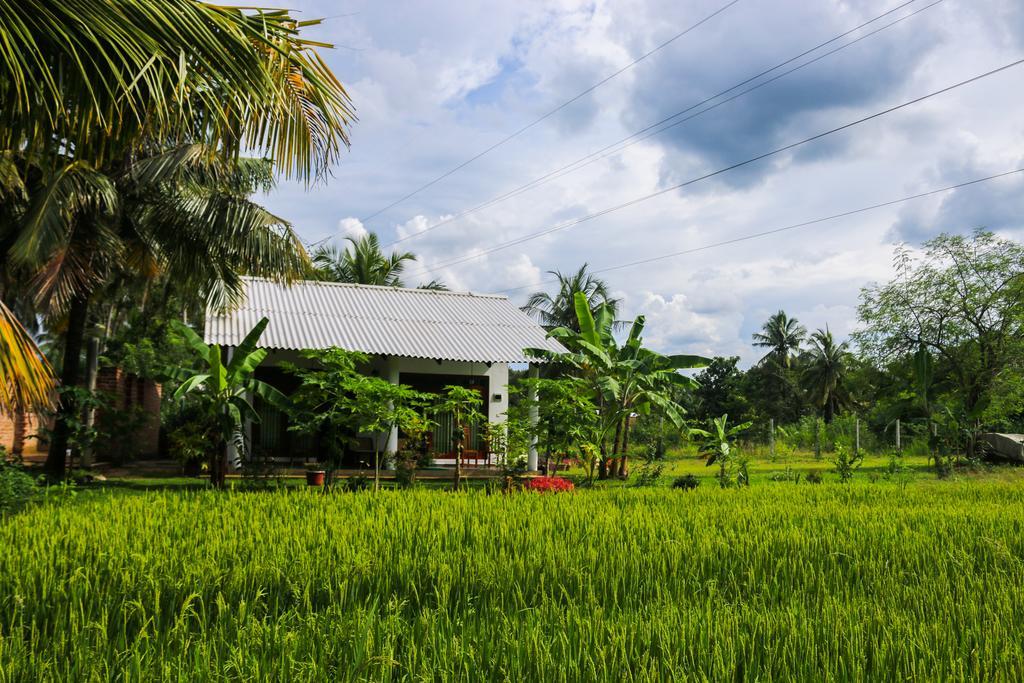 Hideaway Homestay Habarana Eksteriør billede