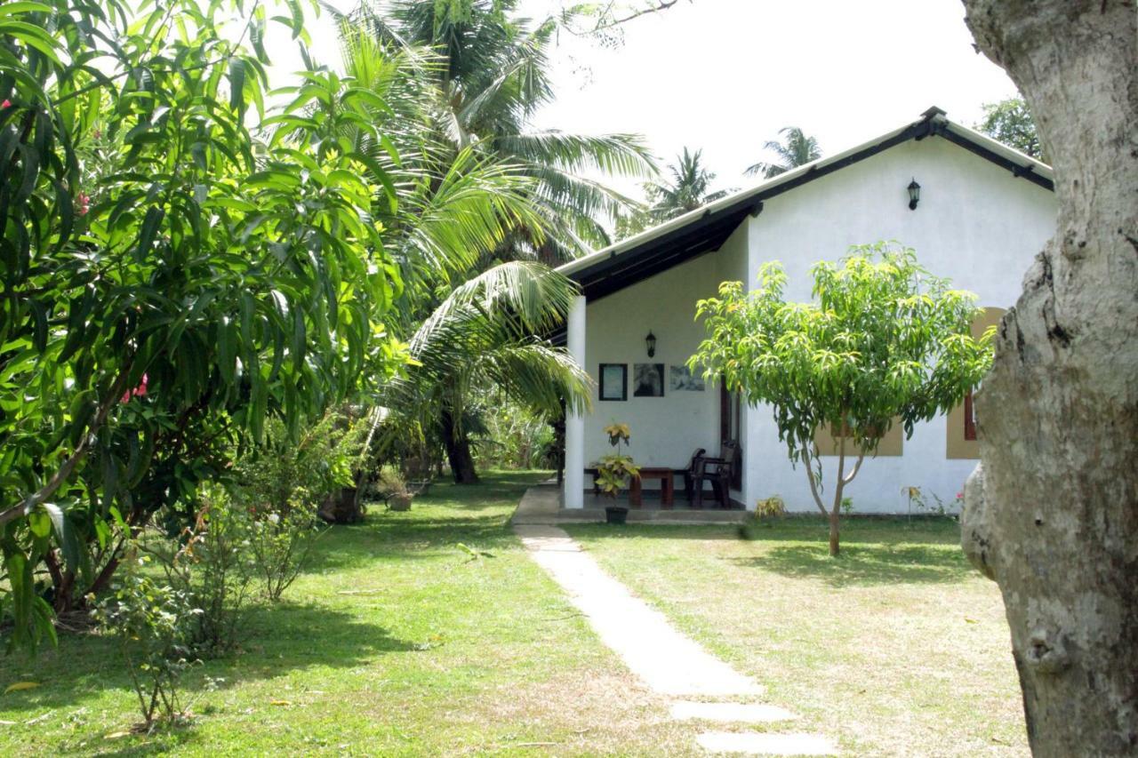 Hideaway Homestay Habarana Eksteriør billede